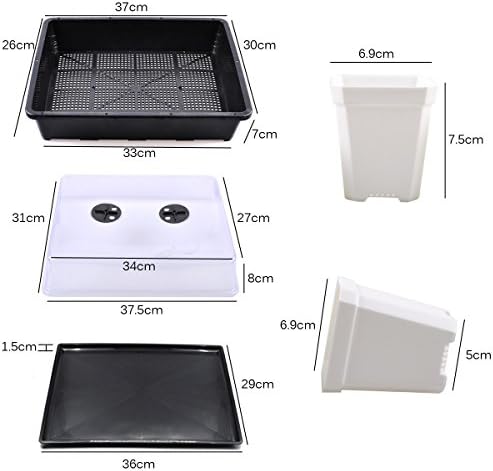 eZAKKA 14.6" x 11.8" Seed Starter Tray Kit with Dome, 20 Cells, White