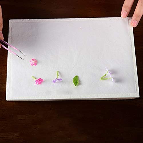 Flower Press Refill Paper Replacement Blotters Paper Refill Lining Paper Blotter Paper Refill (60pcs 11x9 inch)