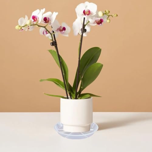 Plant Saucer Pot Tray 12 inch, 2 Packs Clear Flower Planter Saucers and Drip Trays for Pots Planter, Heavy Duty Plant Dish Pant Plate to Catch Water for Indoor & Outdoor