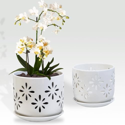 Orchid Pots with Holes, 5+6in Orchid Planter with Tray，2Pcs-White