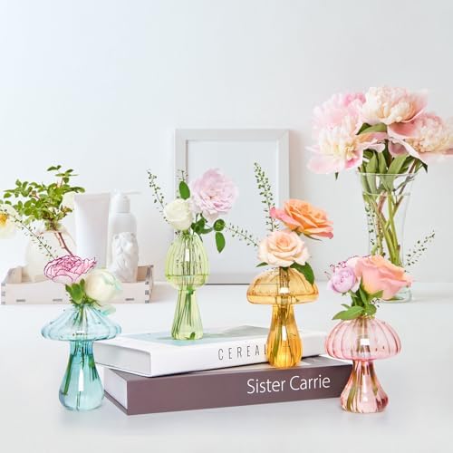 XXXFLOWER Glass Mushroom Vase Propagation Planter Window Plant