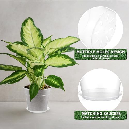 Baderke 3 Pack Clear Nursery Pot,9.25 Inches