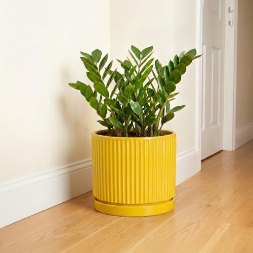 Ceramic Pots for Plants, 10 Inch Plant Pots with Tray, Yellow