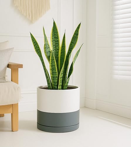 D'vine Dev 12 Inch Ceramic Planter Pot, White/Grey, 94-O-F-6