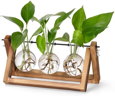 Propagation Station Accessories,2 Pack with Holes Glass Bulb vases