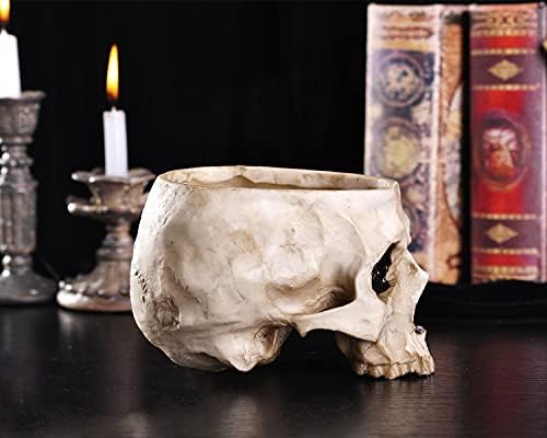 IBWell Modern 6 inch Large Funny Resin Skull Shaped Head Design Flower Pot Planter Container, Decoration Flowerpot Props Home Office Desk Decor (Classic)