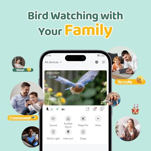 Bird Feeder with Camera Outdoor Solar: Smart Birdfeeder with AI Recognition - 2K HD Live Stream Video Camera for Outside Wild Birds Garden Decor - Bird Lover Gifts