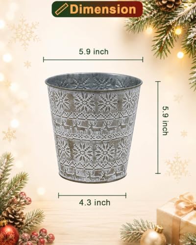 Gold Christmas Metal Buckets, 4 Pack Galvanized Planter Pots Holiday Decor