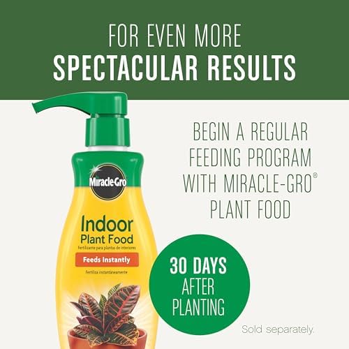 Gro Houseplant Potting Mix, 4 qt.