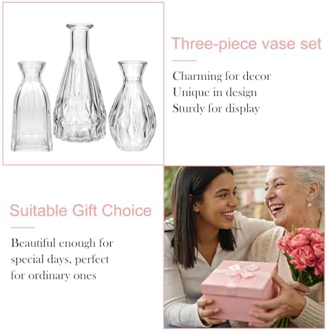 Glass Bud Vases in Bulk, 3pcs Small Glass Vase for Centerpieces