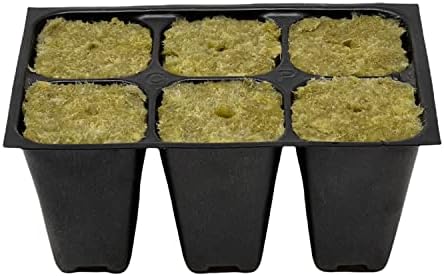 Seed Starter Tray, 1440 Cells (240 Trays - 6 Cells Per Tray) + Plant Stakes