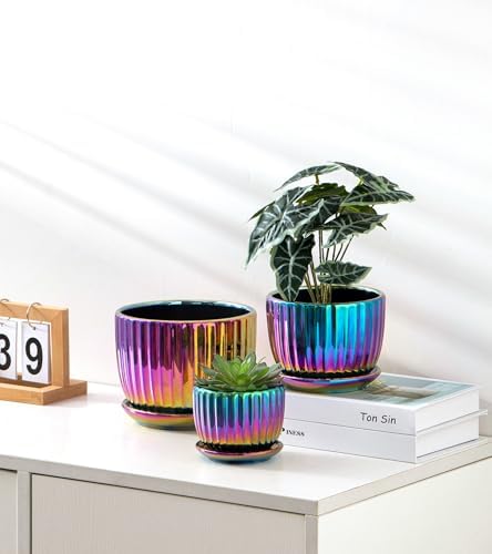 Ceramic Planters,Plant Pots with Drainage Holes & Saucers Set of 3(Purple)