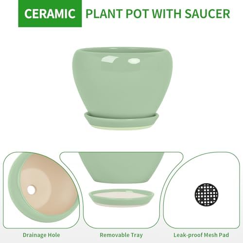 Deep Dream 10 Inch Plant Pot- Ceramic Planter Pot Round Plant Pots for Indoor Plants Outdoor Large Flower Pot with Drainage Holes & Trays, Mint Green
