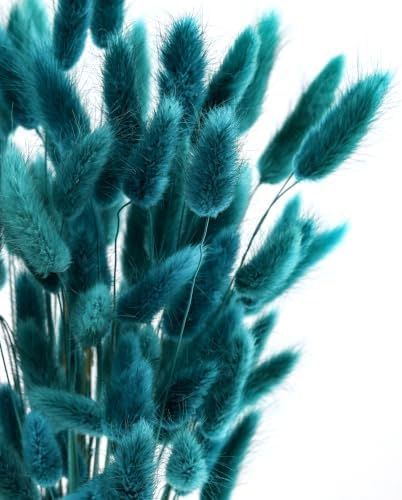 120pcs Bunny Tails Dried Flowers Pampas Grass Bouquet, Teal, 17 inch