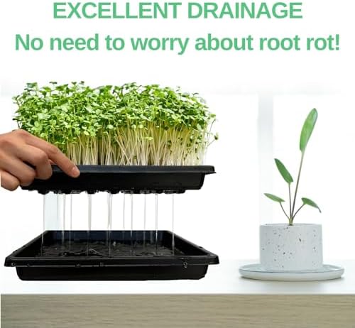 Plant Growing Trays for Seedlings Microgreen Seed Starter Shallow Plants Tray Drip Tray Standard 1010 Tray No Holes 10 Pack Black 10.7 x 10.7 inches Square Trays
