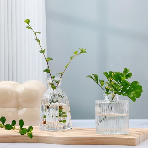 Glass Bud Vases Set of 4, Small Flower Vases for Wedding Centerpiece