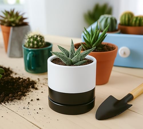 D'vine Dev 4.7 Inch Ceramic Planter Pot, Black White Two Tone, 94-O-B-L