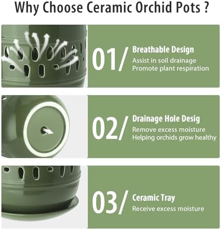 Orchid Pots with Holes, 5+6in Ceramic Orchid Planter 2 Pack