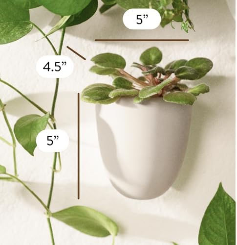 Make Good PlantPod Luxe - Self-Watering Wall Planters (Set of 6, Stone) - Easy to Water and Install - Lightweight - Design Your Own Vertical Garden - Wall Planters for Indoor Plants