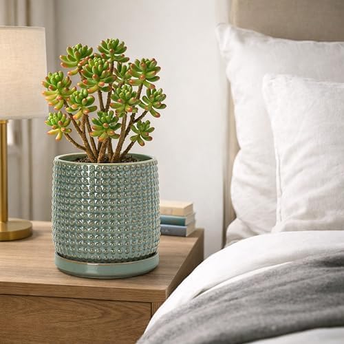 D'vine Dev Beaded Ceramic Pot with Saucer, 6 in, Olive, 27-C-X-0