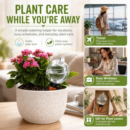 19 oz Large Self Watering Globes for Plants, Top Fill, 2 Pack