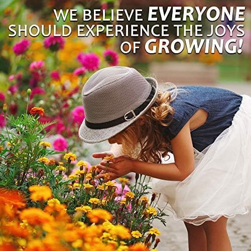 Mountain Valley Seed Co Northeastern Wildflower Seed 1 Lb 640,000 Seeds | Annual & Perennial Wildflower Mix with Native