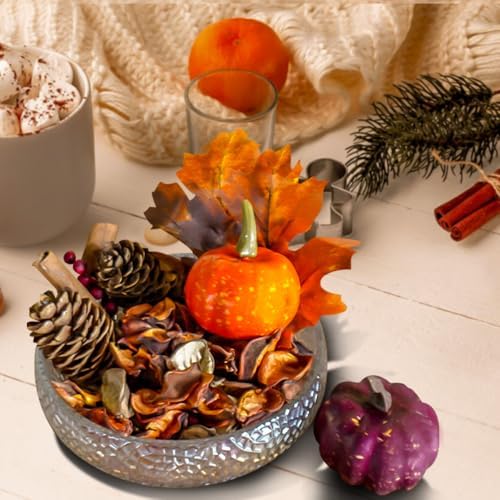 Fall Potpourri Bag with Pumpkin,Cinnamon Scented Dried Flowers,8.4 oz