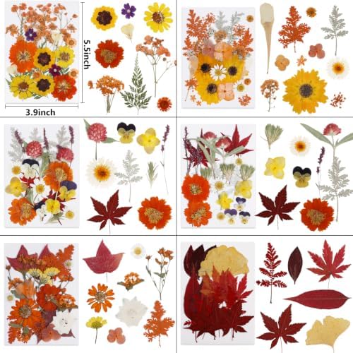 277 Pcs Autumn Dried Flowers for Crafts,Real Nature Dried Flowers for Resin