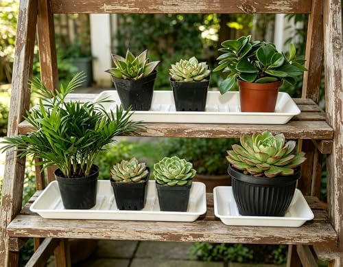6 Pack Plastic Plant Saucer Rectangular 6 x 11 Inch, Indoor Outdoor Drip Tray for Flower Pot, Windowsill, White