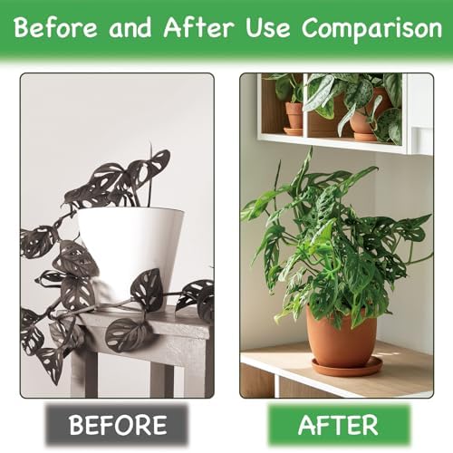6 pcs Frog Plant Stand, Multipurpose Green Frog Plant Supports Steady Cartoon Plant Branches Tie Down, Frog Plant Holder for Potted Plants, Plant propagation buddy Cute Frog Flower Pot Hugger Plant Climbing Fixture Clips Perfect for Indoor Outdoor Garden