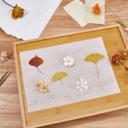 CRASPIRE 50 Sheets Flower Blotting Paper Flower Press 11.7x8.4in Blotter Papers Large Highly Absorbent Reusable Refill Drying Absorbing Large Sheet for Flowers Pressing Making Herbarium DIY Craft