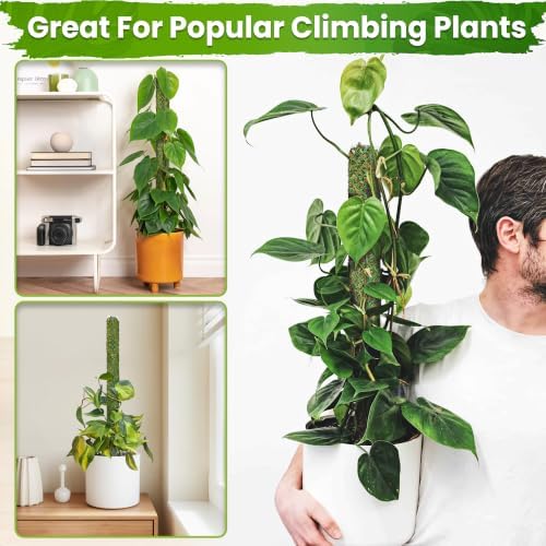 DUSPRO Self-Watering Natural Green Forest Moss Pole, 2pcs 23''