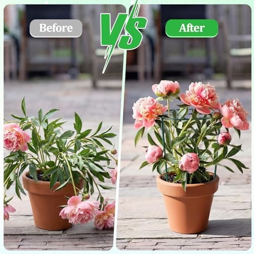 Novabright 2 Pcs 24" H x 20" D Large Peony Cage and Support Grow Through Plant Supports Round Garden Flower Stake Plants Ring Hoop for Outdoor Floral Tomato Vegetable Improve Planting Success Rate