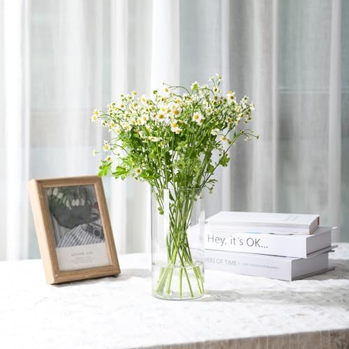 Clear Flower Vase, Non-breakable Vases, 5" W x 8" H, Acrylic Vase, Aesthetic Room Decor Cylindrical Modern Flower Vases for Table Centerpiece, Home Decor, Women Floral Arrangement Gift