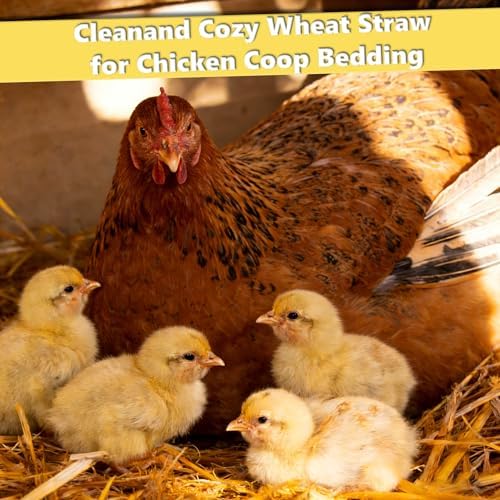Natural Wheat Straw - 2LB Dry Clean Soft Decorative Straw Bale