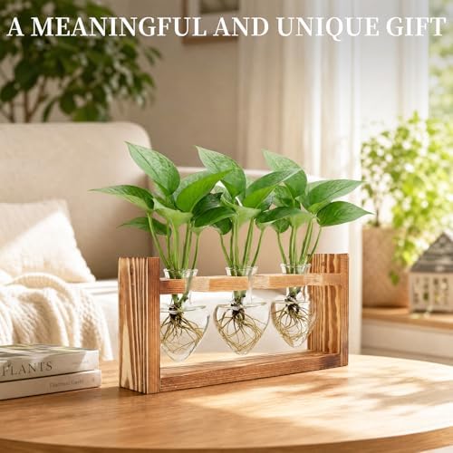 Plant Propagation Station, Heart Test Tube Vases with Hook