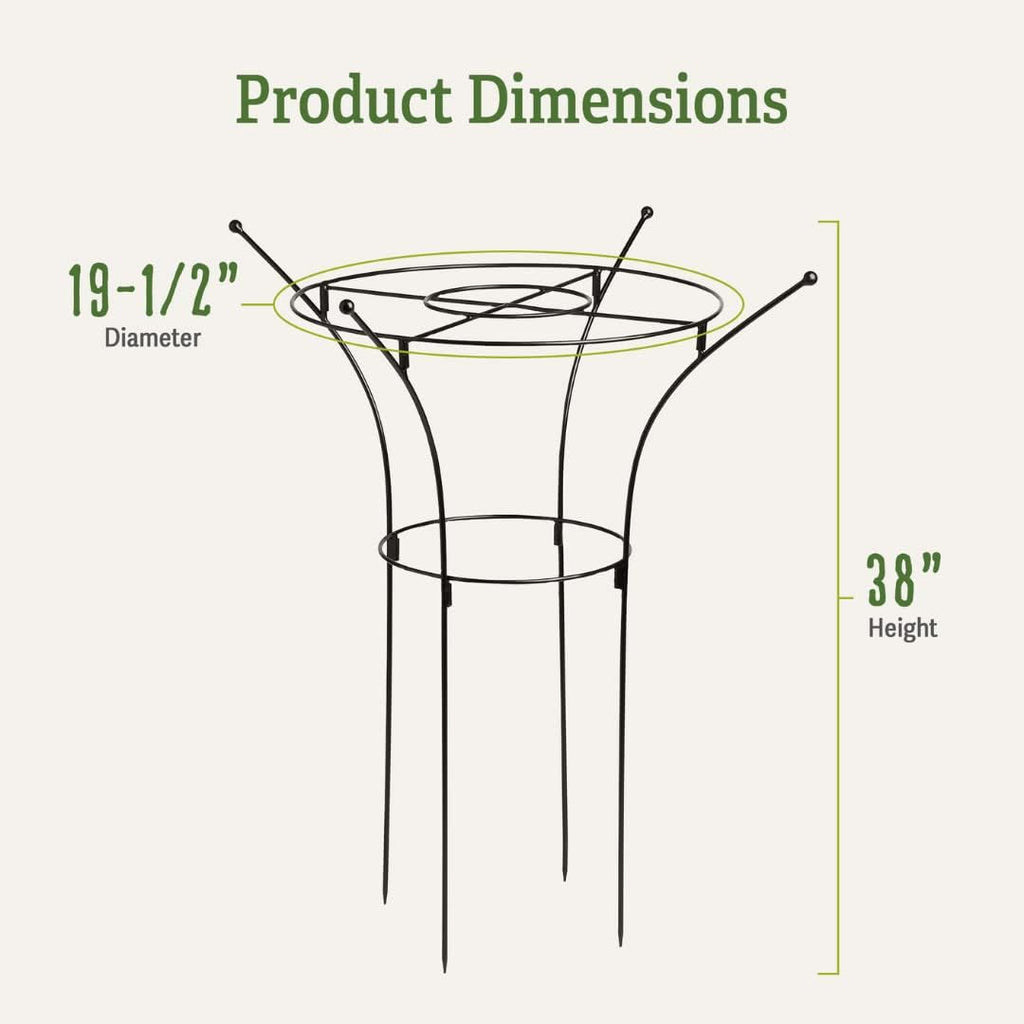 Gardener's Supply Company Essex Plant Support Frame for Peonies, Rose, Ornamental Flower Garden Cage - Wide Top Rings