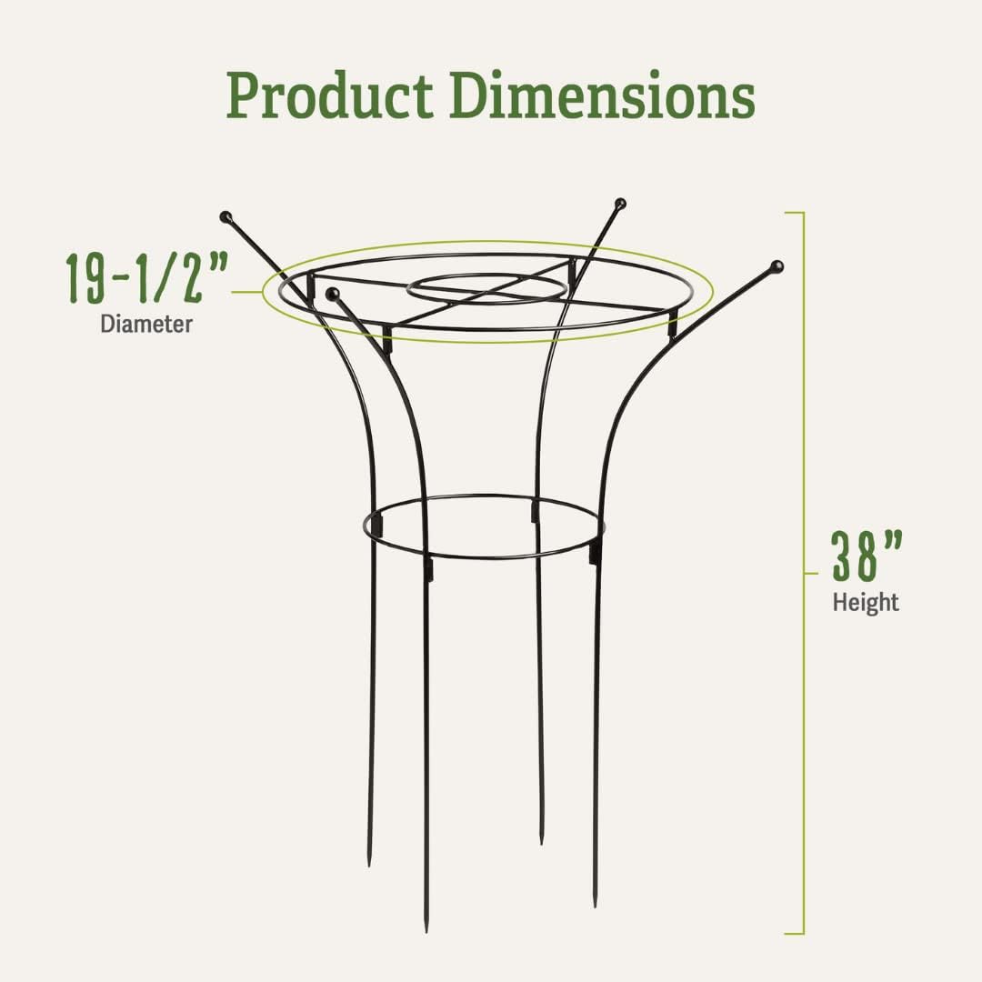 Gardener's Supply Company Essex Plant Support Frame for Peonies, Rose, Ornamental Flower Garden Cage - Wide Top Rings