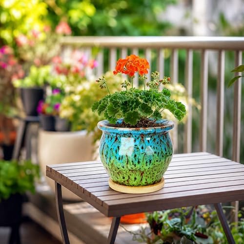 4.5 Inch Plant Pots, Small Pots for Plant Indoor, Succulent Pots with Tray