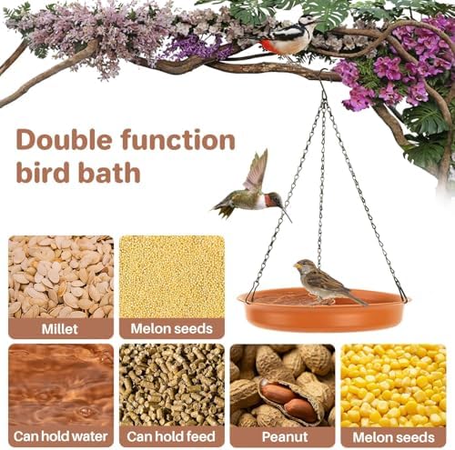 CARGEN Hanging Bird Bath for Outdoors - 2 in 1 Water and Seed Feeder Tray