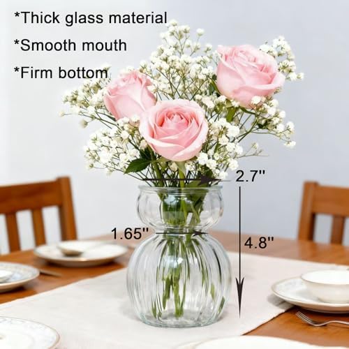 Avocado Hyacinth Bulb Vase 5''(H) Small Vases Table Clear 6pcs Glass