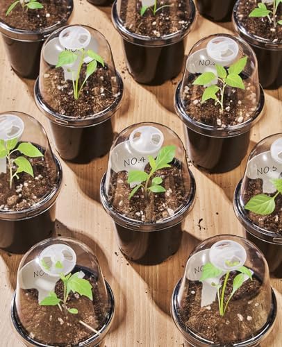 homenote 5 Inch Nursery Pots with Humidity Domes for Seed Starting (15 Pcs)