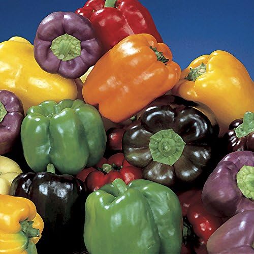Park Seed Stir Fry Vegetable Seed Collection – Non-GMO Garden Kit with Broccoli, Snap Peas, Carrots, Sweet Peppers &