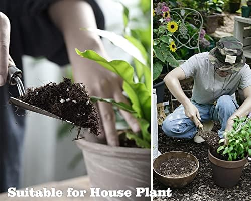 Doter Houseplant Potting Mix 2qt, Fertilized, Perlite Soil for All Types of Indoor House Plants and Tropical Plant