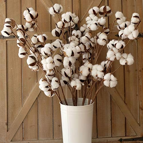 idyllic Cotton Stems Decor Branches, Cotton Flowers Plants for Decorations, Dried Flowers for Vase, 6 Pcs-31 Inches Tall - 12 Bolls per Stem