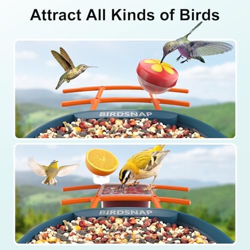 birdsnap® PAV Bird Feeder with Camera Solar Powered 2K Live Video 32GB Card