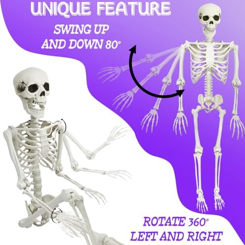 5.9FT Skeleton Halloween Full Size, Life Size Skeleton with Posable Joints