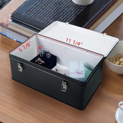 DreamsEden Metal Seed Organizer Storage Box - Rustic Garden Seed Saver Container for Packets with Hinged Lid Gifts for Homesteader Gardening (Black)