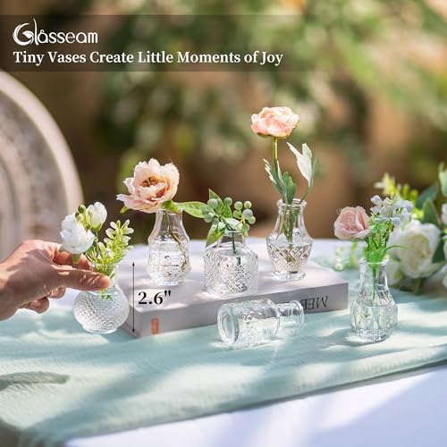Glasseam Mini Bud Vases for Centerpieces: 20Pcs Clear Glass Vases in Bulk