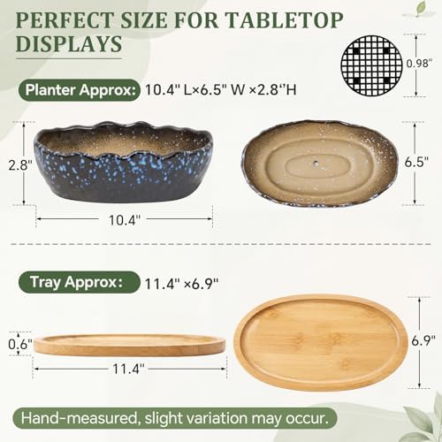 10 Inch Oval Ceramic Shallow Succulent Planter with Tray, Starry Blue